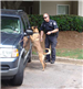 Officer Mark Bishop and K9 Bono during training