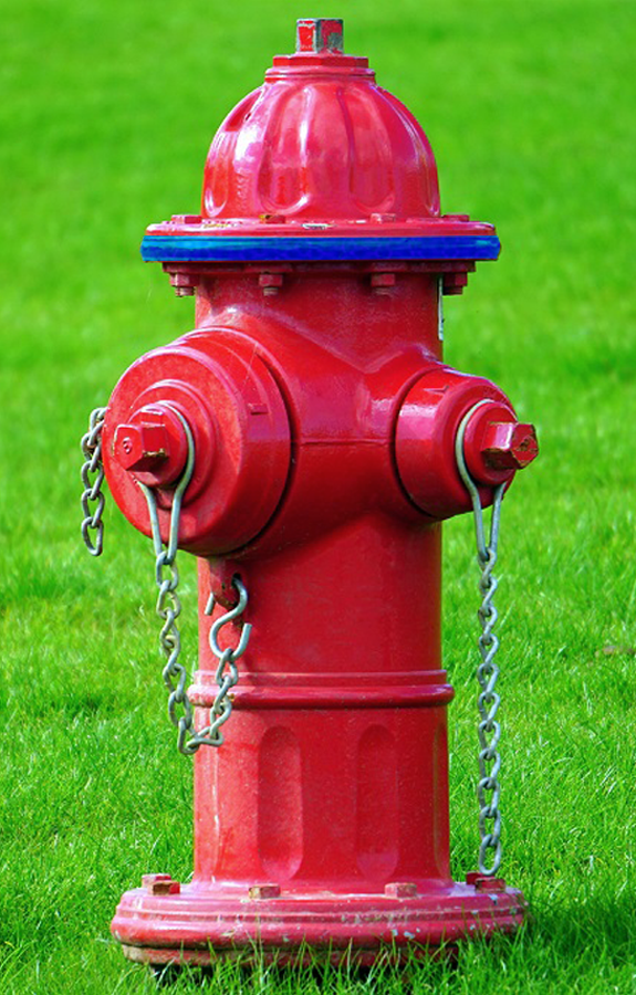 red-fire-hydrant-in-green-grass