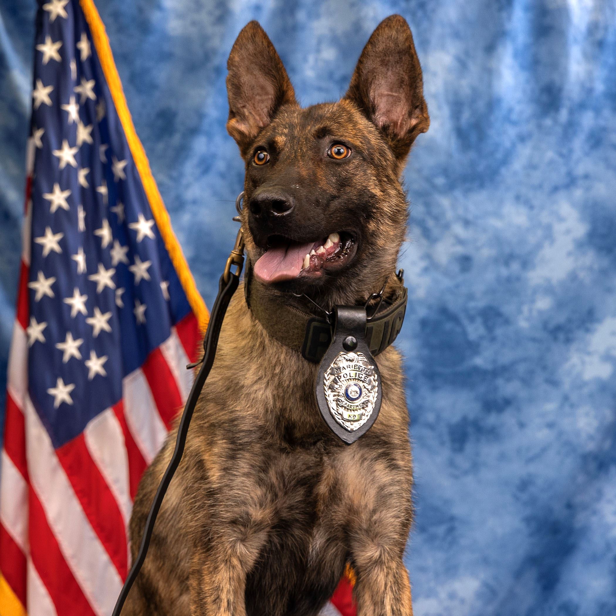 K9 FEDOR 01